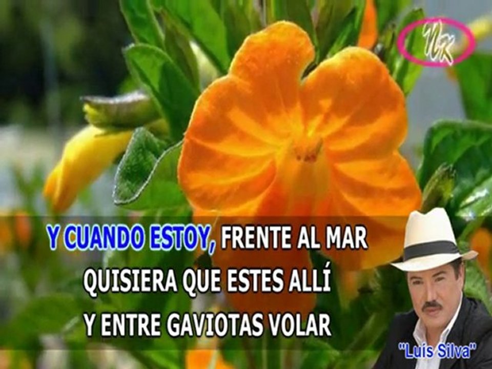 Luis Silva - Es Diferente - Karaoke
