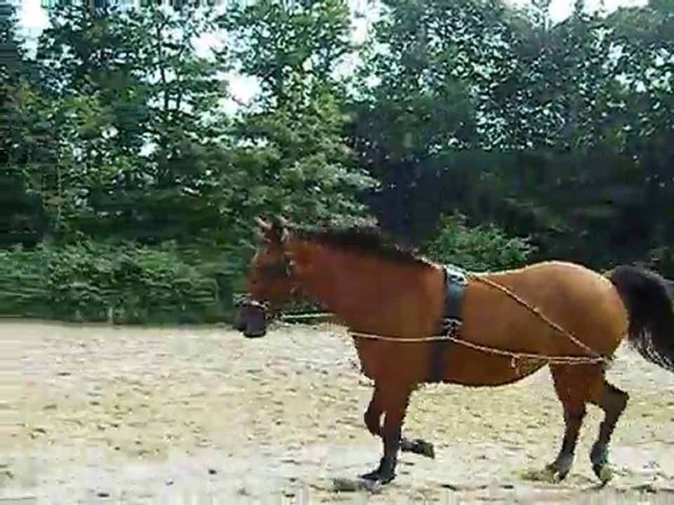 nozgwenn longe le 15-07-2010 (7)