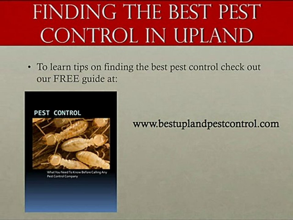 Best Upland Pest Control