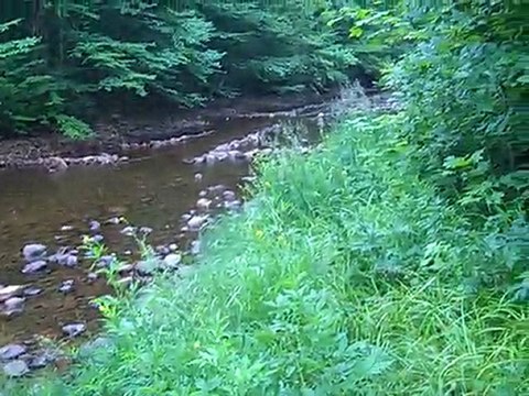 Camping Stoneham 4 juillet et 11 juillet