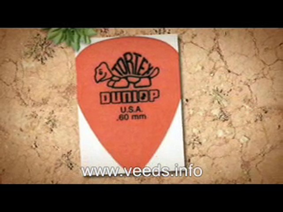 Jim Dunlop Guitar Picks Best Models