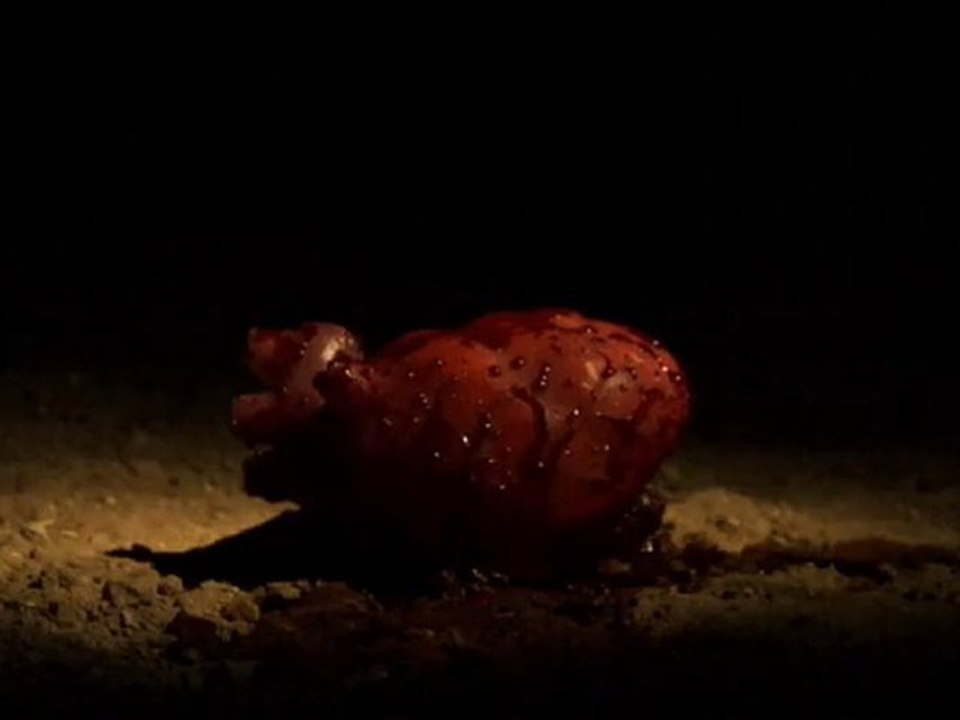 Wounded Embark of the Lovesick Mind Trailer