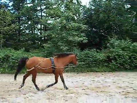 nozgwenn longe le 15-07-2010 (8)