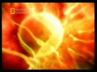 Hembras: Orgasmo salvaje