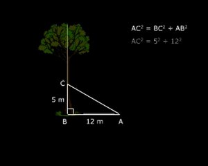 How to Study Online - CBSE X Maths - Study Online