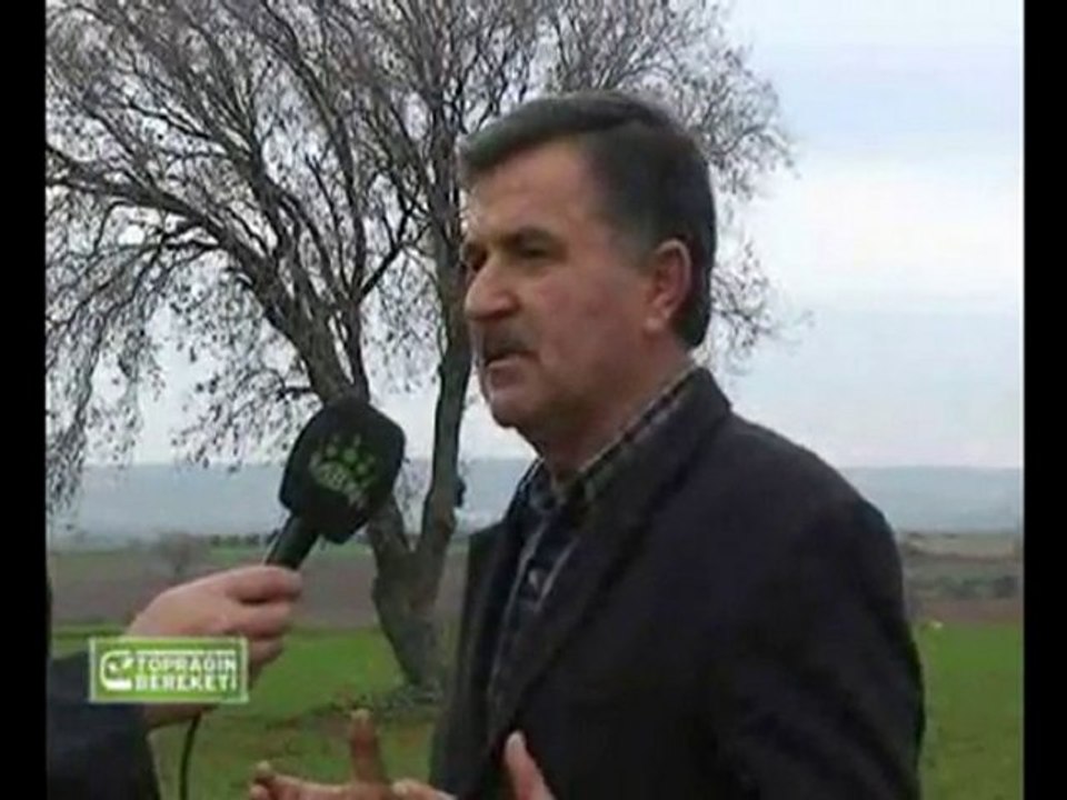 M.O.G Organik Sıvı Gübre - Bursa Fasülye Yetiştiricisi