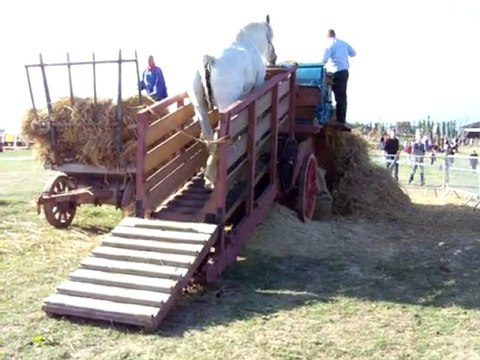 moisson St Jans Cappel 2009