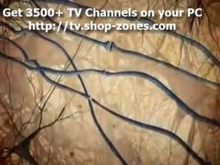 BBC Horizon 2009 Cannabis Documentary 1 of 5