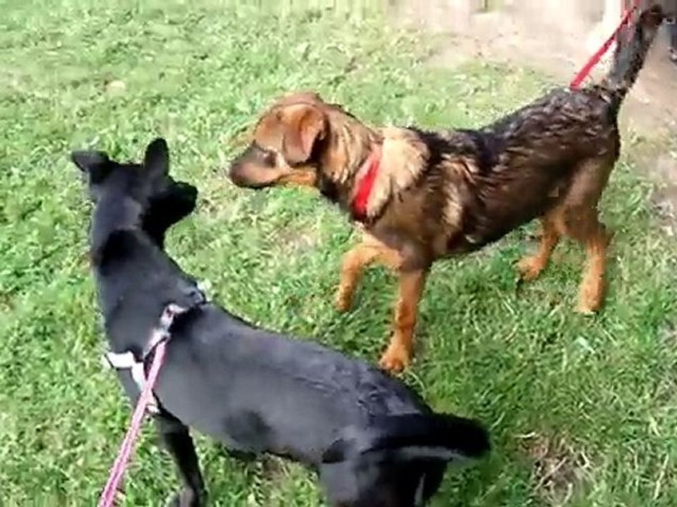 pique-nique en famille