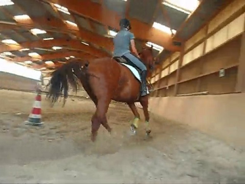 Notre Semaine Galop 3 2010