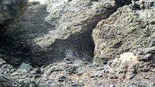 willongong the blow hole vol1