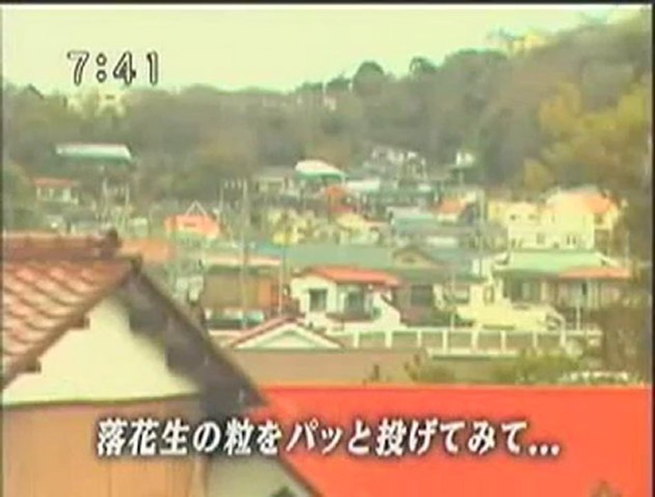 二宮のうた
