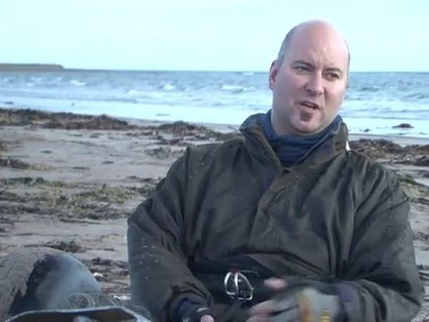 Kite Surfing and Buggying on Conrad Beach - Nova ...
