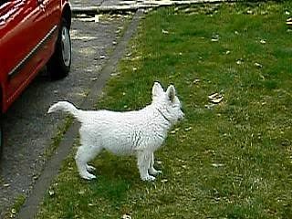 baika le 4 jiullet2006