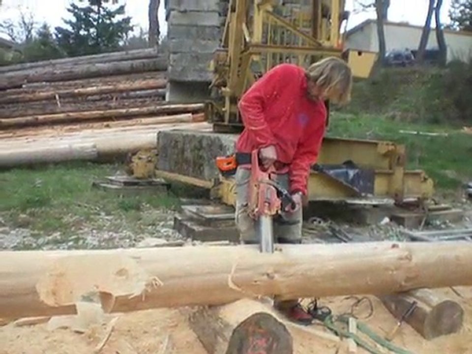 la cabane aux loups
