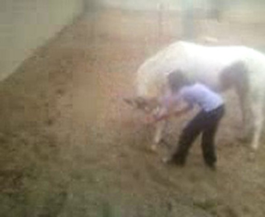 Amidala de volturie ; Premier salut de la rêne :)