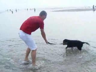 Les premiers pas de Flamby à la mer