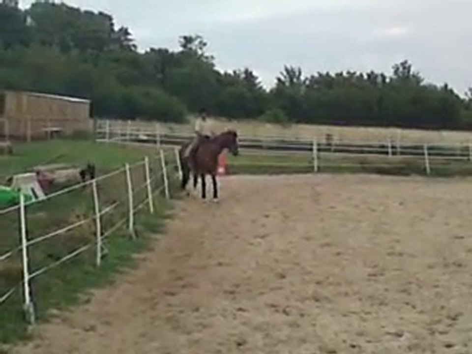 dressage G7 ludovic et Quazéo