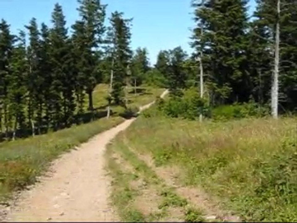 Randonnée sur les hauteurs du Beaujolais