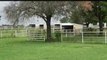Horse Ranch on 32 acres For Sale Mansfield Texas