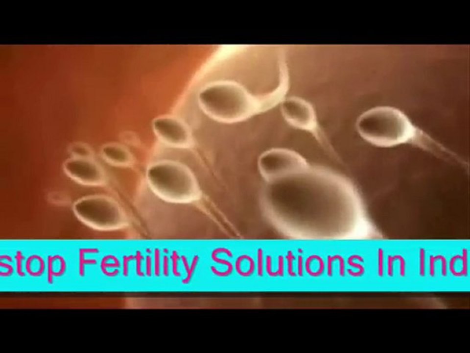 Human Fertilization,sperm to an egg.