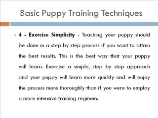 5 Basic Puppy Training Techniques