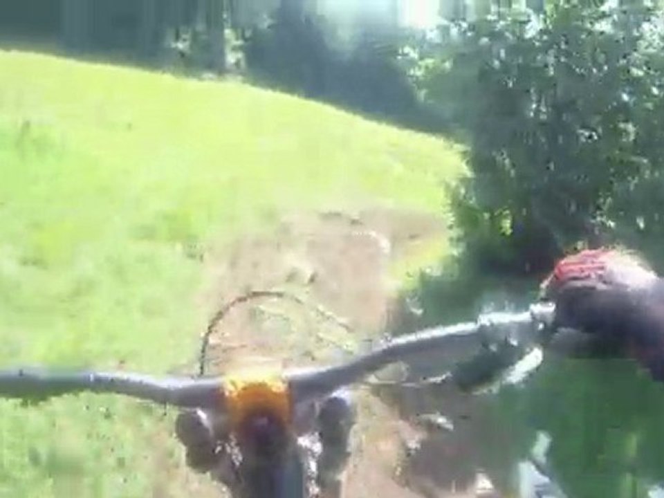 DH Villard de lans - Cerf moi fort