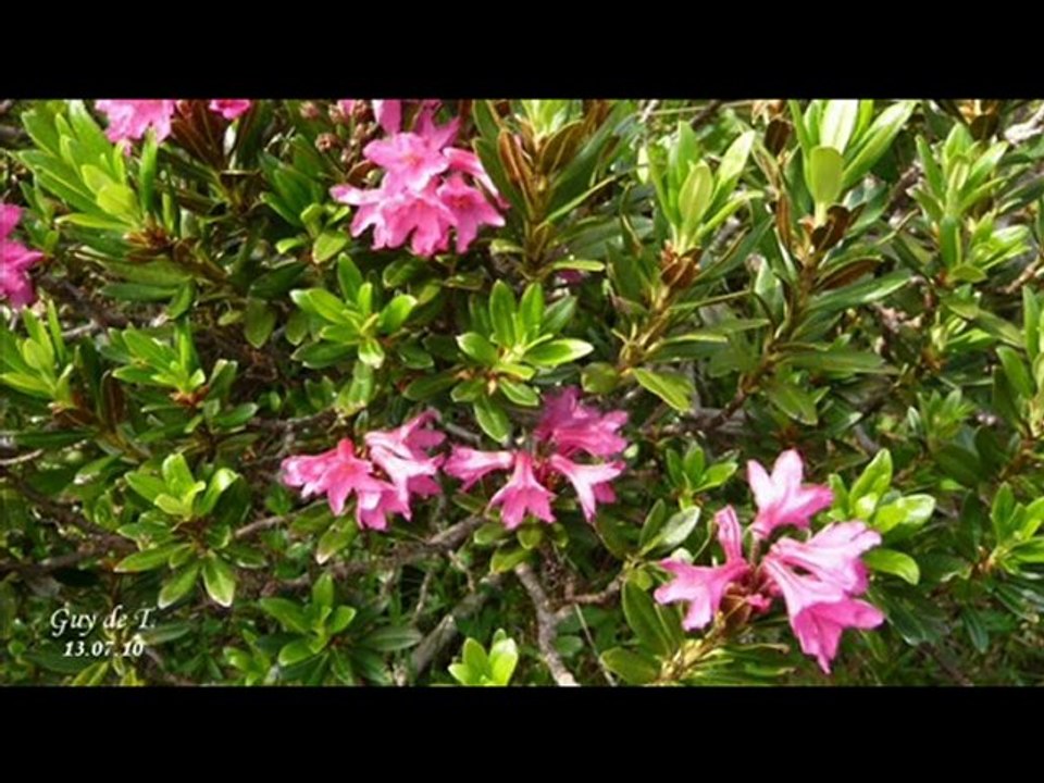 ALLOS A.  (Repérage LAC d'Allos et TOURS DU LAC D'ALLOS)