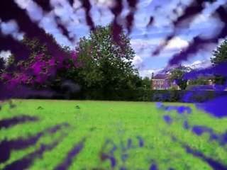 Don't Believe Anything You See