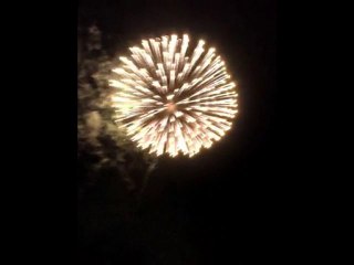 Feu d'artifice d'Albi le 14 juillet 2010 - 6