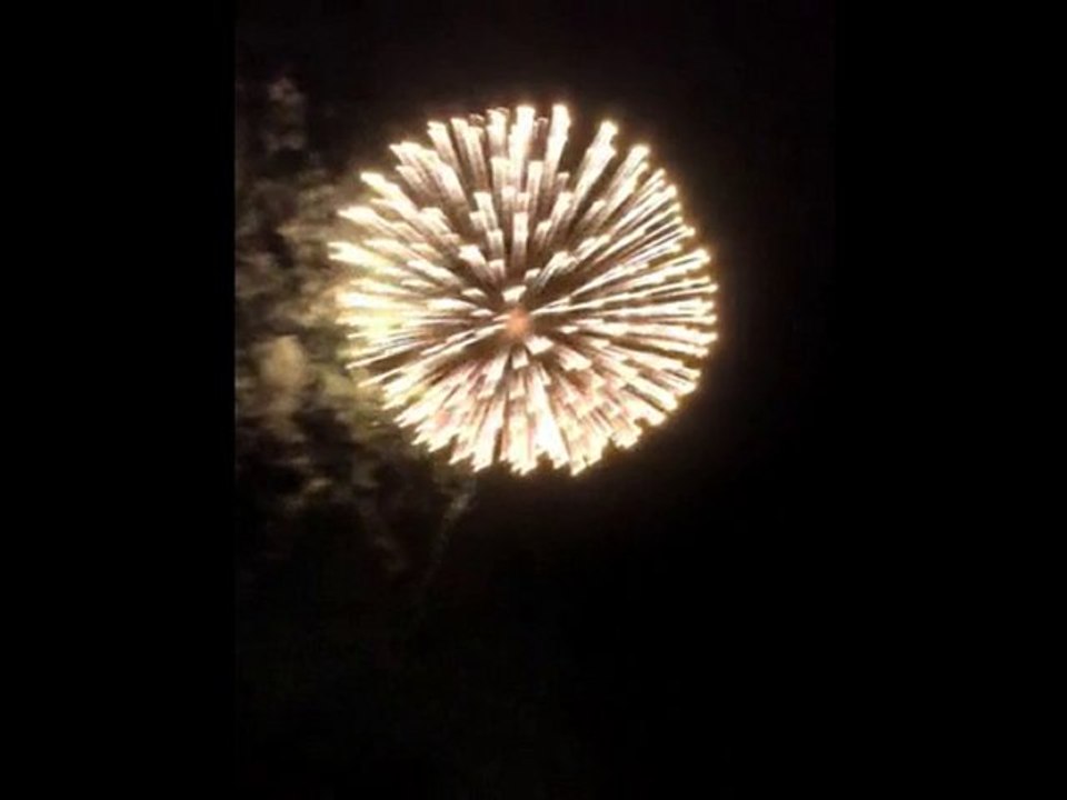 Feu d'artifice d'Albi le 14 juillet 2010 - 6