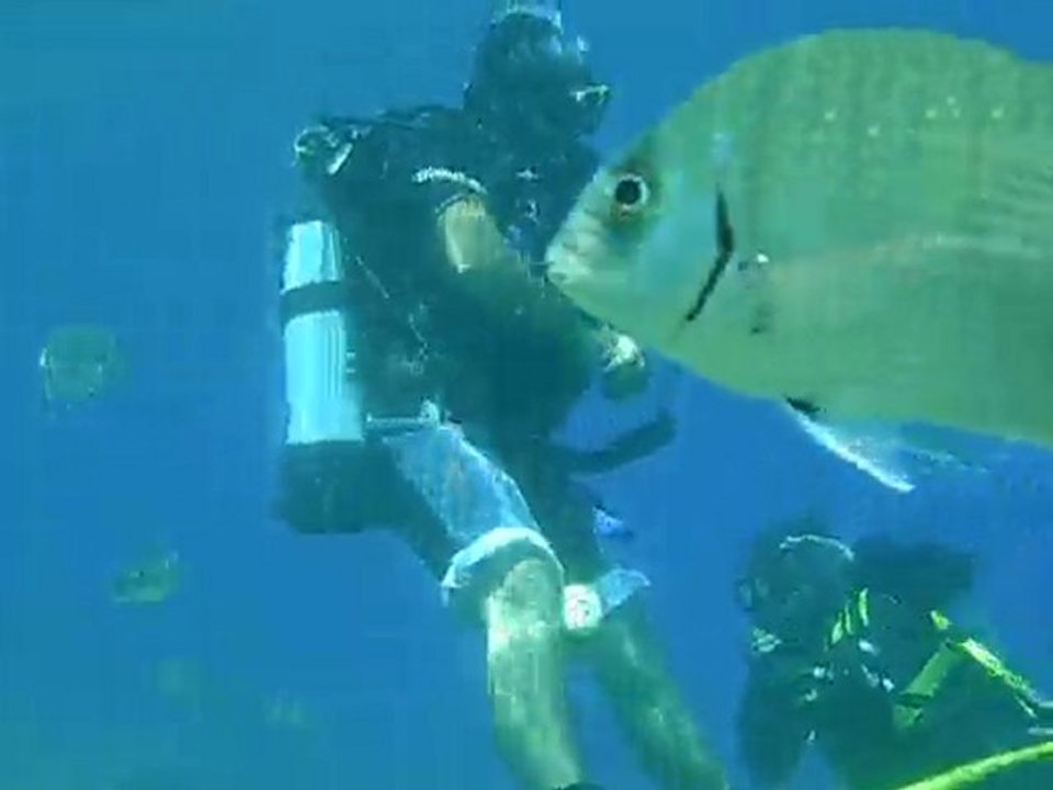 Bursa Oasis Dalış Ve Doğa Sporları Eğitim Merkezi