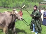 Reportour : Mongolie, Polo à dos de yack !