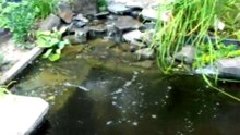 Damn dat water is helder