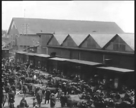 Limoges foire St Loup 1913