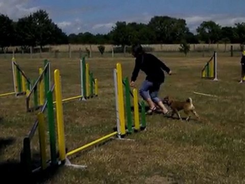 Agility Fisca 2ième Séance