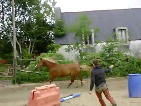 Ecuries du Nevez Toys 5