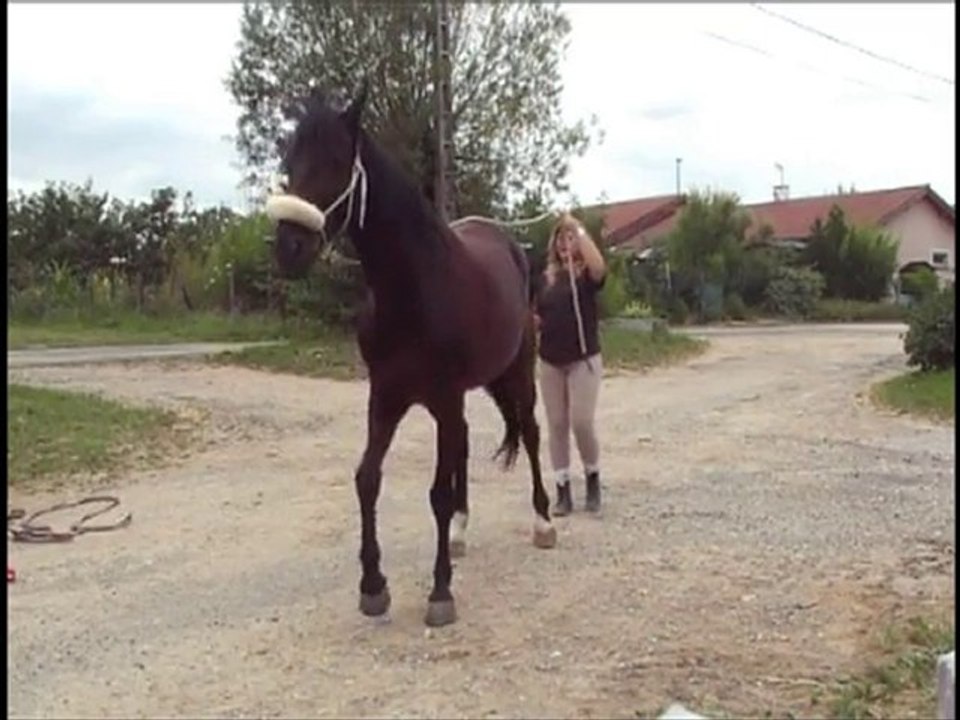 Olten 17 juillet