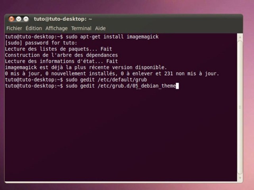 Tutoriel vidéo : Personnaliser Ubuntu : L’écran De Boot