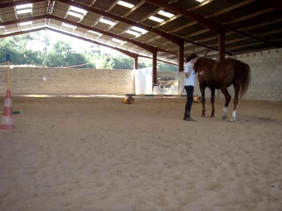 Travail à pied avec Cabriole 15.07.10