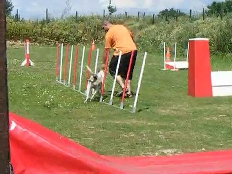 Easy au slalom