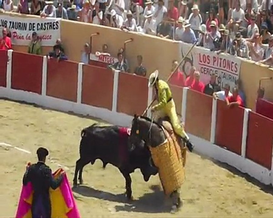 ceret de toros 2010 OYE MUCHO 11 juillet