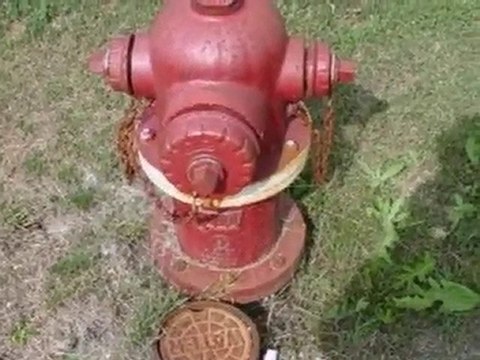 Homes for Sale - 19530 Torrence Ave - Lynwood, IL 60411 - Co