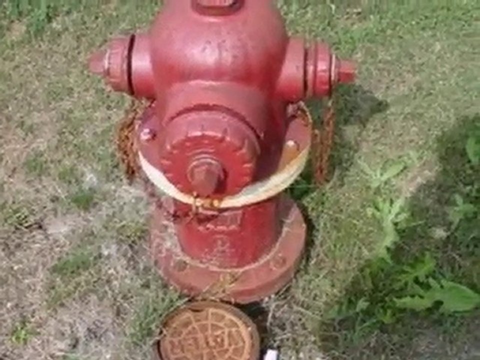 Homes for Sale - 19530 Torrence Ave - Lynwood, IL 60411 - Co