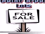 Homes for Sale - LOT 41 Darlington Way - Joliet, IL 60436 -
