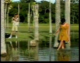 Chamadas da Novela Pantanal - TV Manchete 1990