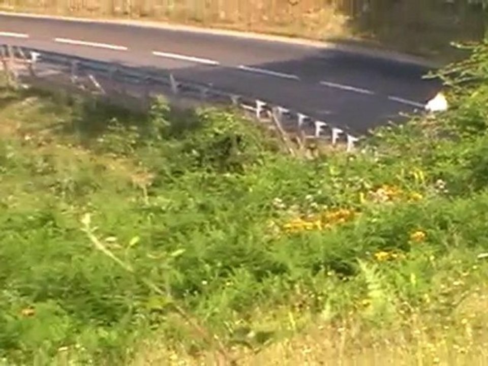 Coligny 2010 Ax gti n°132