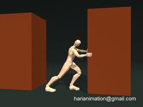 Hari Character Animation Demo Reel 2010