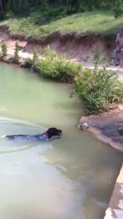 diva rapport a l'eau