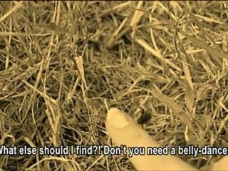 Azerbaijan Cinema Overview 🎬